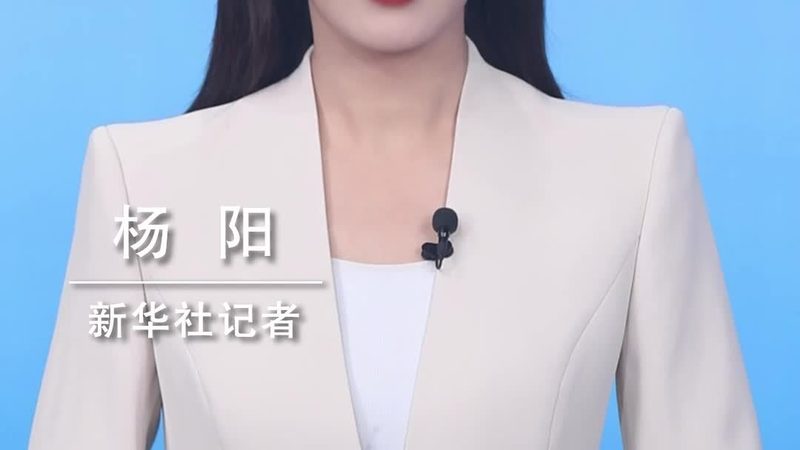 数字化转型方案设计流程：从需求出发，迈向高效未来**